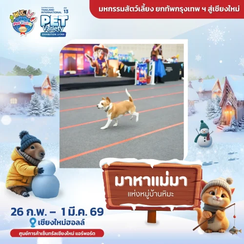 come-to-mama-2026-cnx