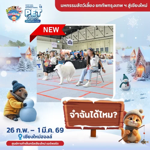 remember-me-2026-cnx